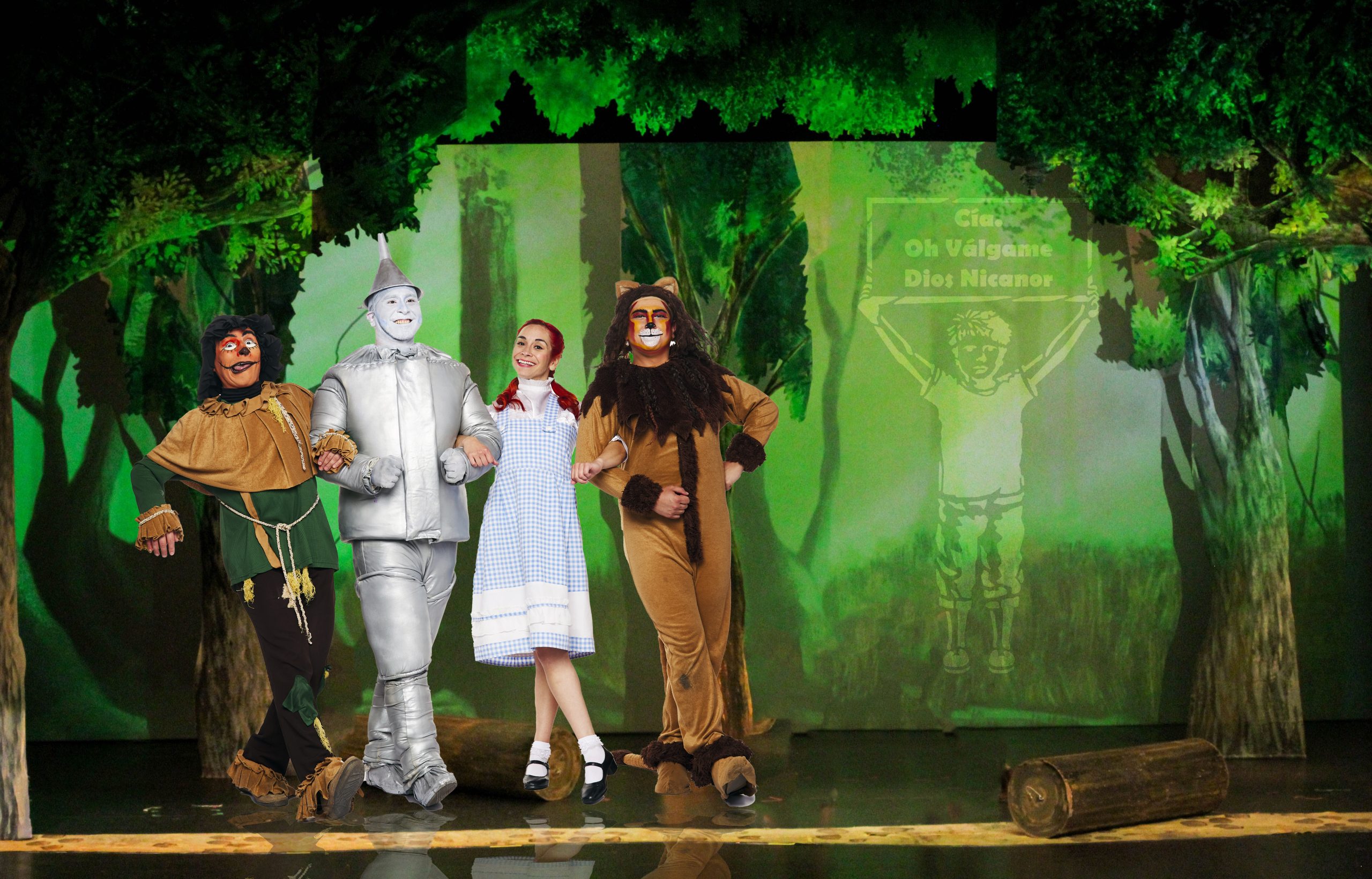 El Mago de OZ Inclusivo teatro chile